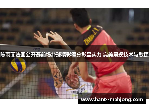 陈雨菲法国公开赛前场扑球精彩得分彰显实力 完美展现技术与敏捷